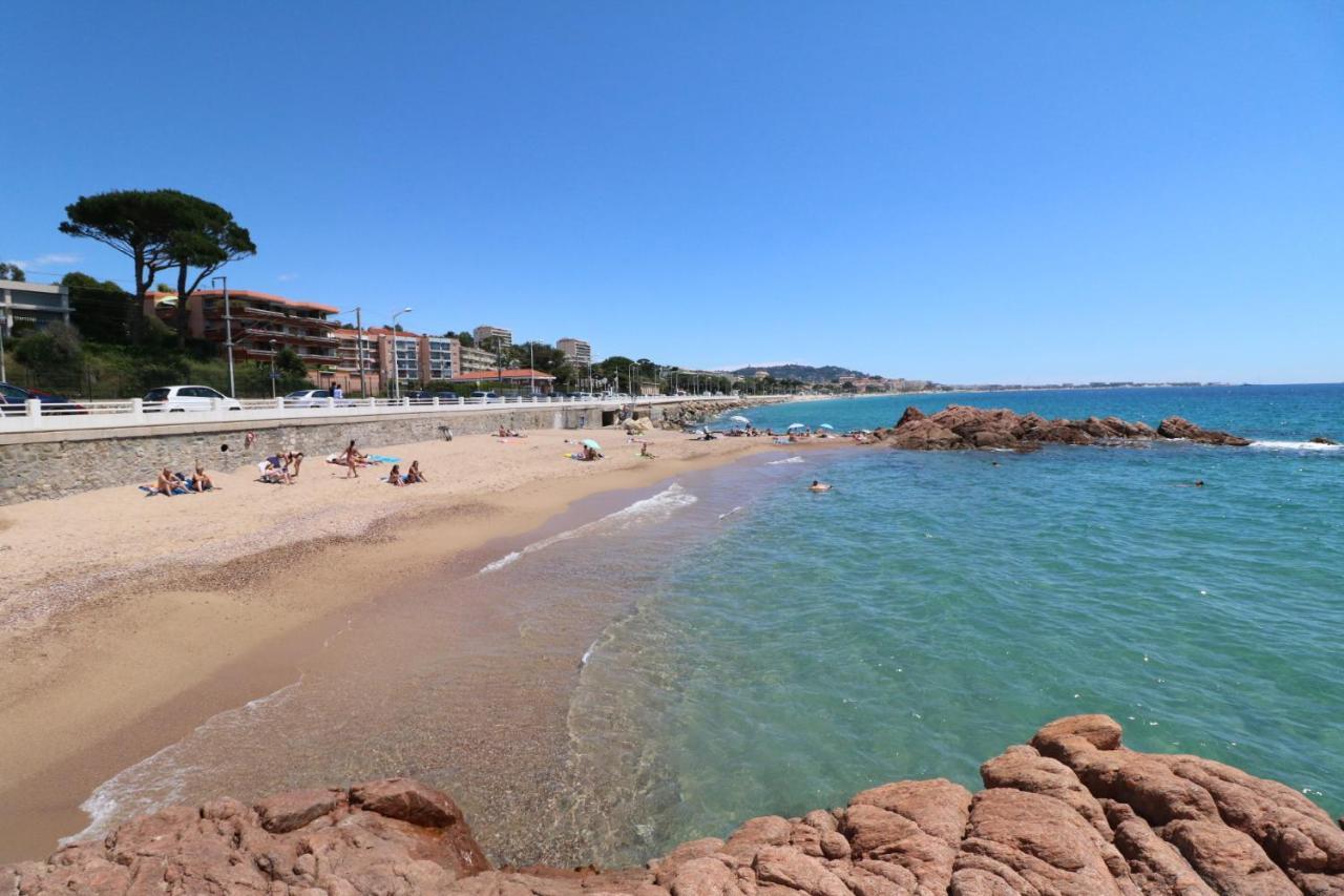 Studio With Beautiful Sea View And Direct Beach Access Cannes Dış mekan fotoğraf